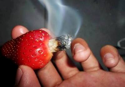 frutilla-pipa-weed
