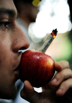 manzana-marihuana
